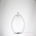 Tabletop Plant Glass Terrarium